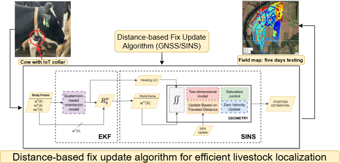 Cattle Localization in Free-Grazing System Using a Distance-Based GNSS/SINS Method